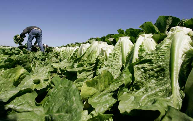 Leafy greens
